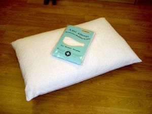 harley batwing pillow