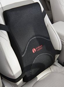 Lumbar Support Cushion
