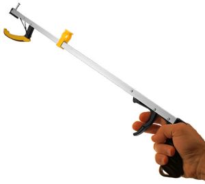 Standard Reacher
